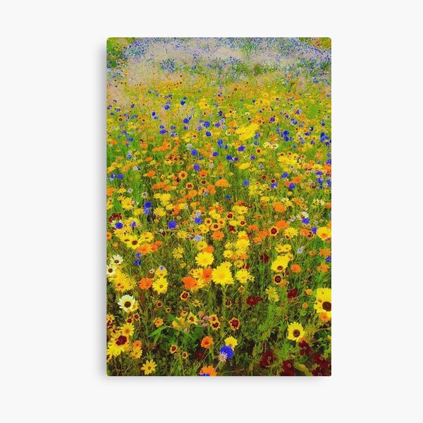 Field of flowers by Gustav Klimt Canvas Print