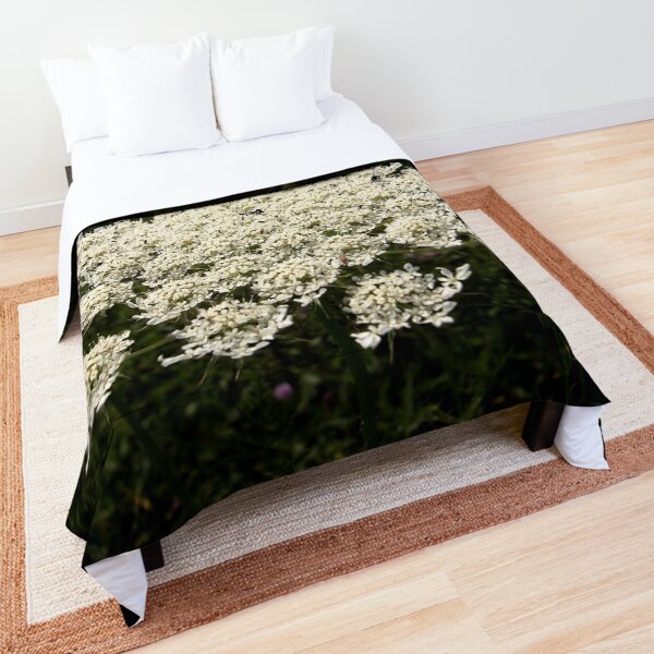 Comforter
