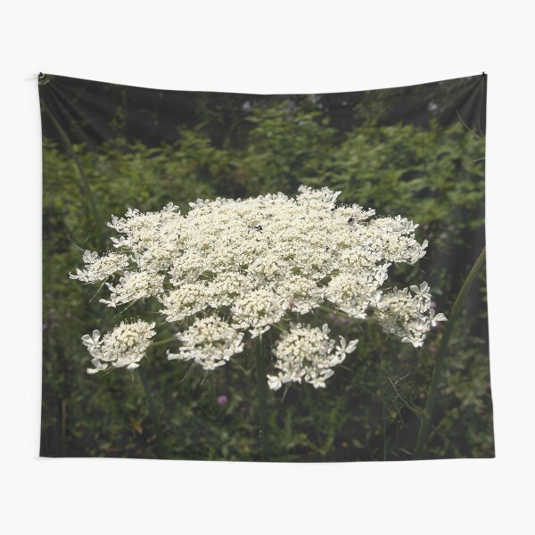 Tapestry