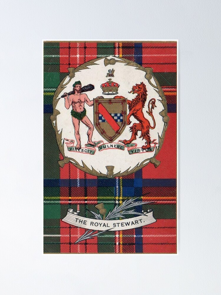 Scottish tartan royal stewart Royalty Free Vector Image