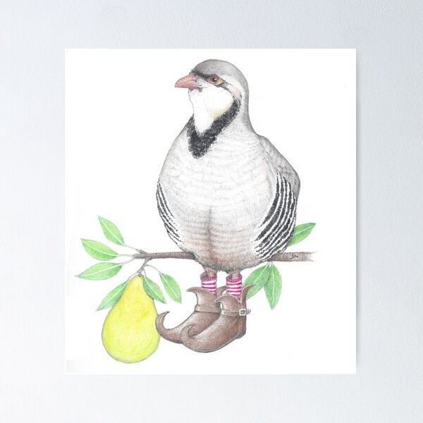 Item preview, Partridge in elf boots designed and sold by JimsBirds.