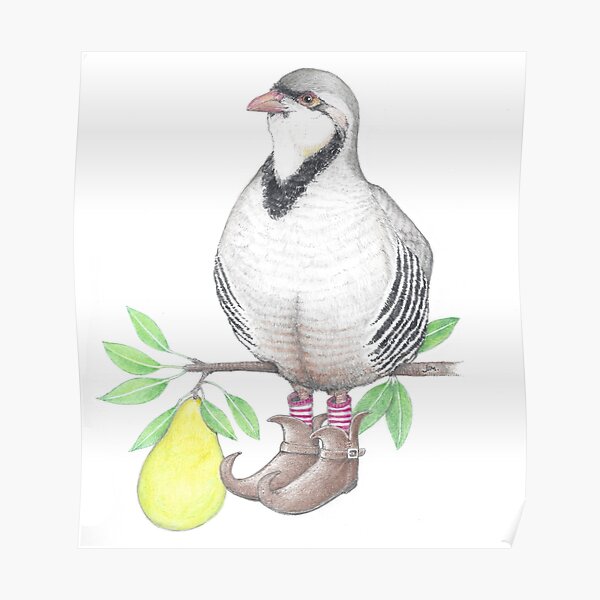 Partridge in elf boots Poster