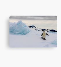 Penguin Canvas Print