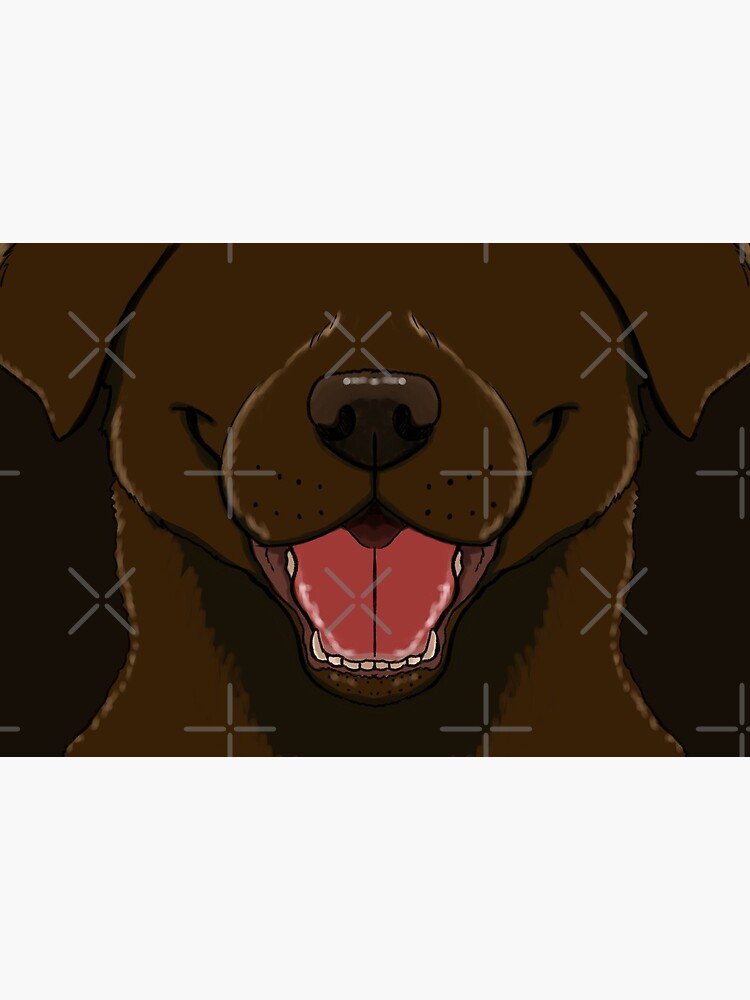Chocolate lab (cocoa) by danigrillo