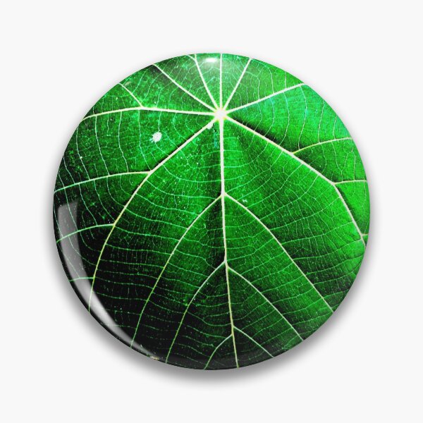 Item preview, Leaf Maps designed and sold by Geoff Treagus.