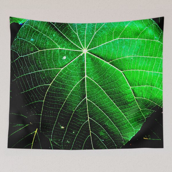 Item preview, Leaf Maps designed and sold by Geoff Treagus.