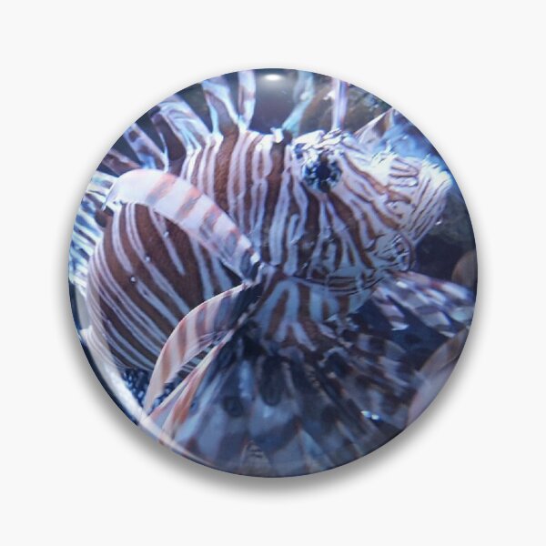 Item preview, Zebra turkeyfish by Katy Christoff  designed and sold by KatyChristoff.