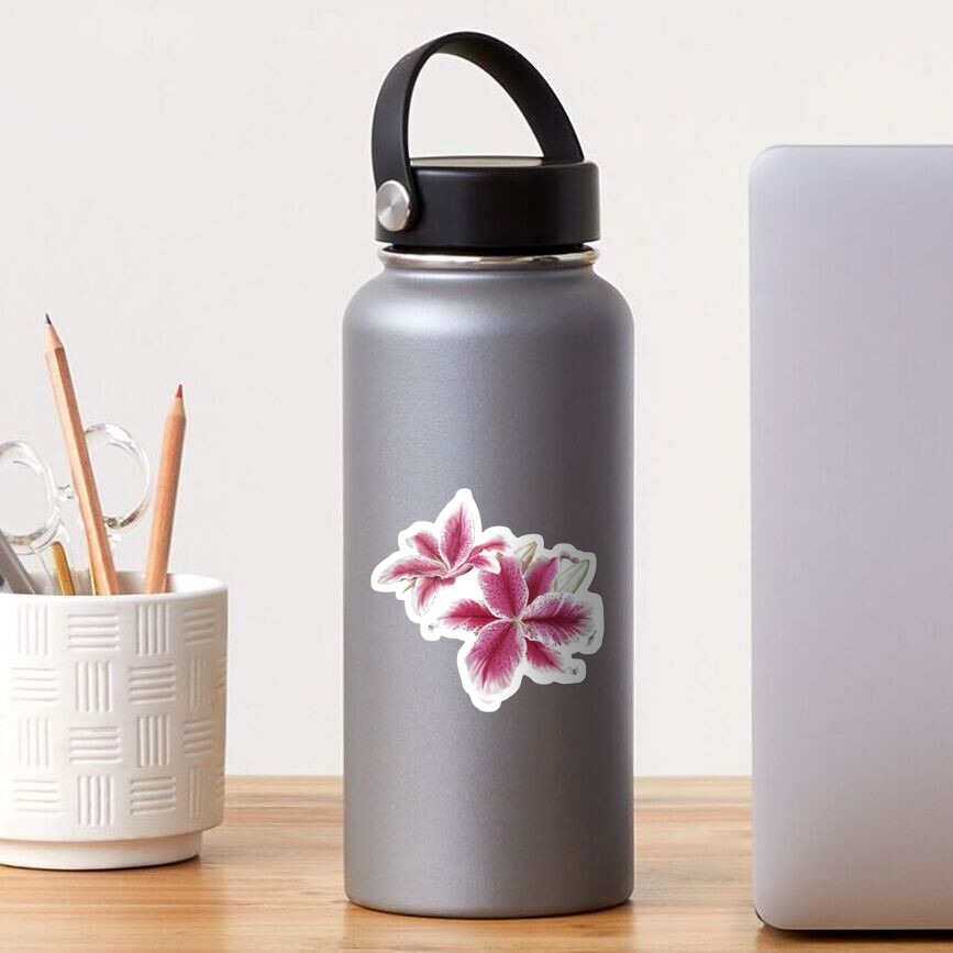 Stargazer Lilly Sticker