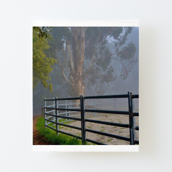 Cold Winter Morning. Collie WA. Canvas Mounted Print