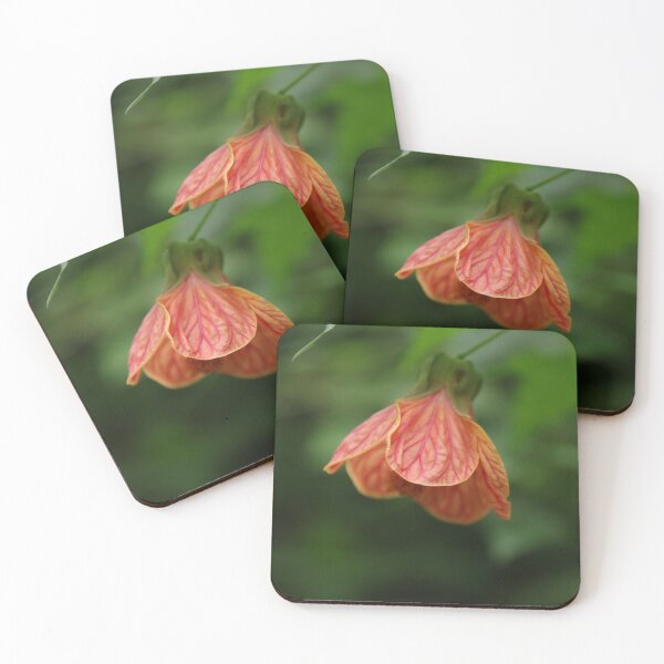 Item preview, Chinese Lantern Flower designed and sold by Honey Myrtle Studio.
