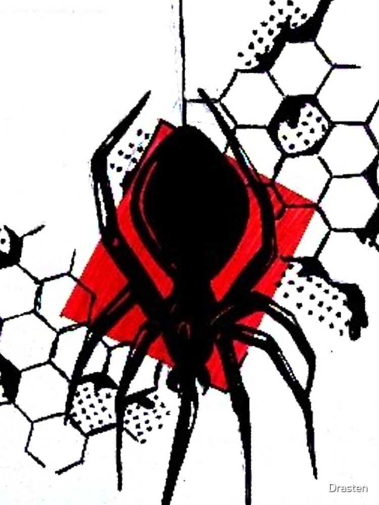 Spider by Drasten