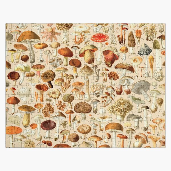 Artikel-Vorschau von Vintage Mushroom Designs Sammlung, designt und verkauft von PixelHunter.