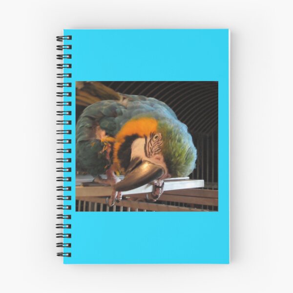 Item preview, Here’s looking at You! designed and sold by Mariann Moritz.