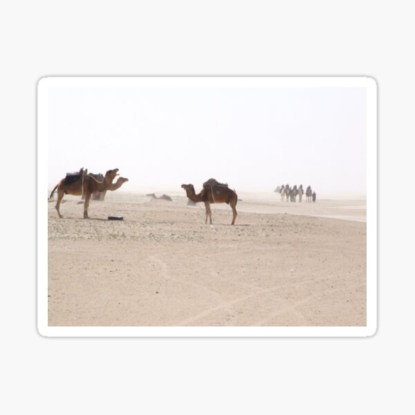 caravan Sticker