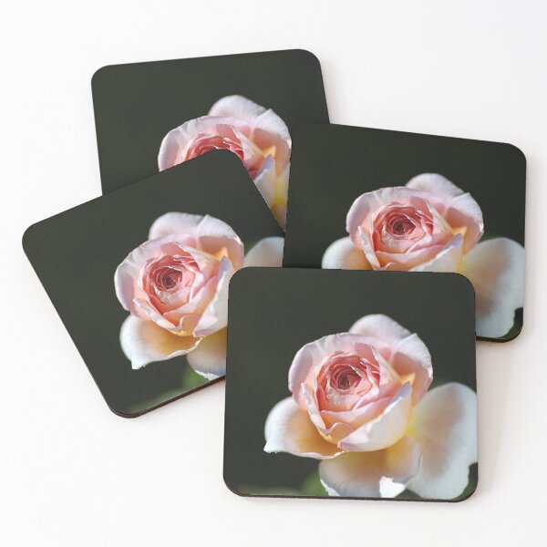 Item preview, The Abraham Darby Rose Bud designed and sold by Joy Watson - Natural Light Photography .