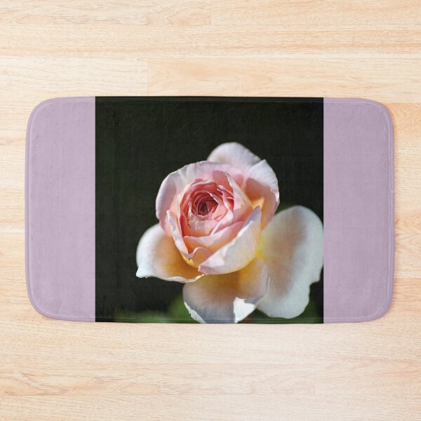 Item preview, The Abraham Darby Rose Bud designed and sold by Joy Watson - Natural Light Photography .