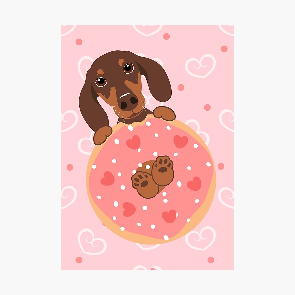 donut dachshund