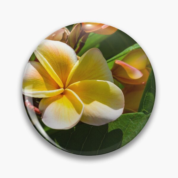 Item preview, Plumeria Kahana Maui 2008-431 designed and sold by BunkL.