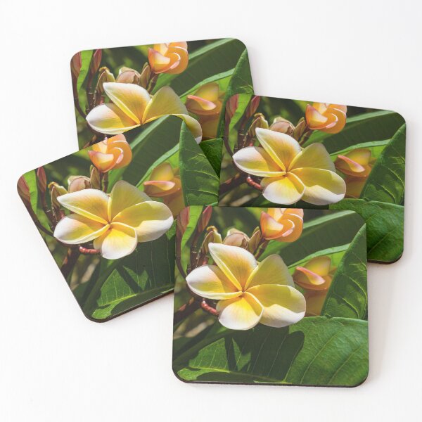 Item preview, Plumeria Kahana Maui 2008-431 designed and sold by BunkL.