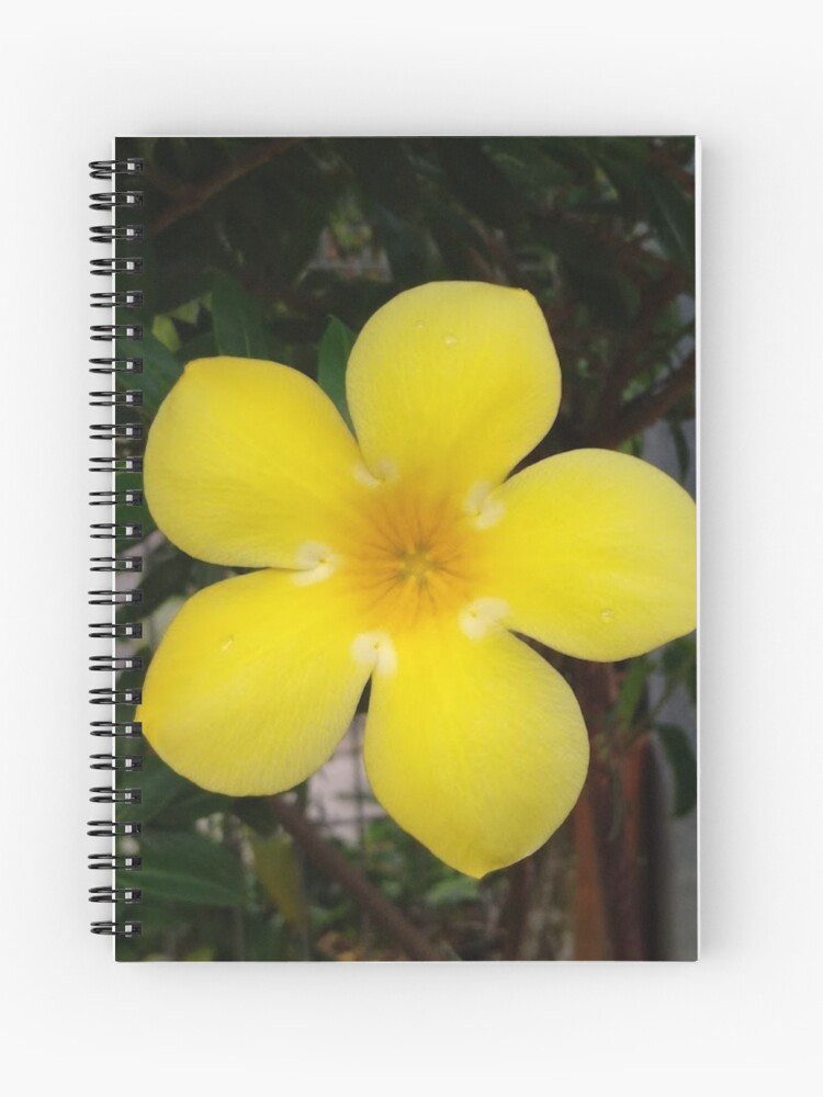 Cahier à spirale « Photographie de fleur jaune | Fleur tropicale jaune |  Amoureux de la flore de la nature », par WindyMi | Redbubble