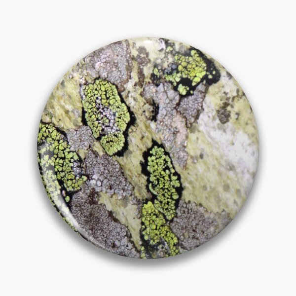 Item preview, lichen designed and sold by KathleenDawson.