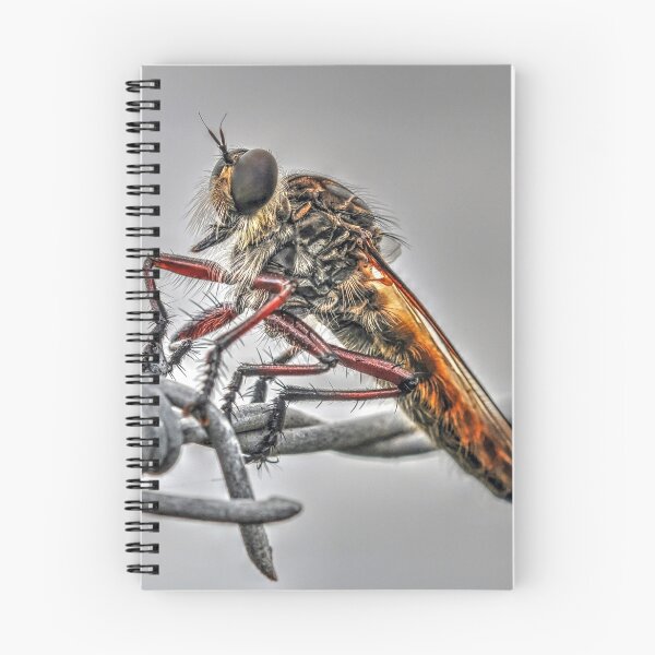 Item preview, Cicada (3) designed and sold by Josette Halls.