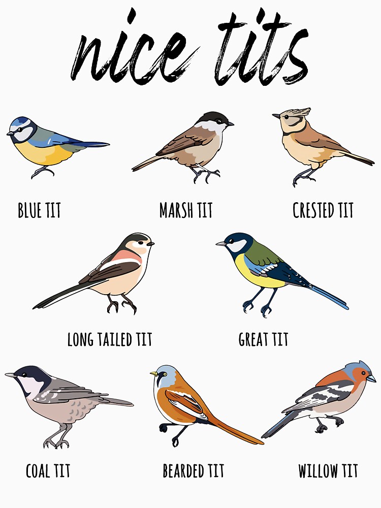 Nice Tits - Funny Bird Watching Birding T Shirts, Hoodies, Sweatshirts &  Merch