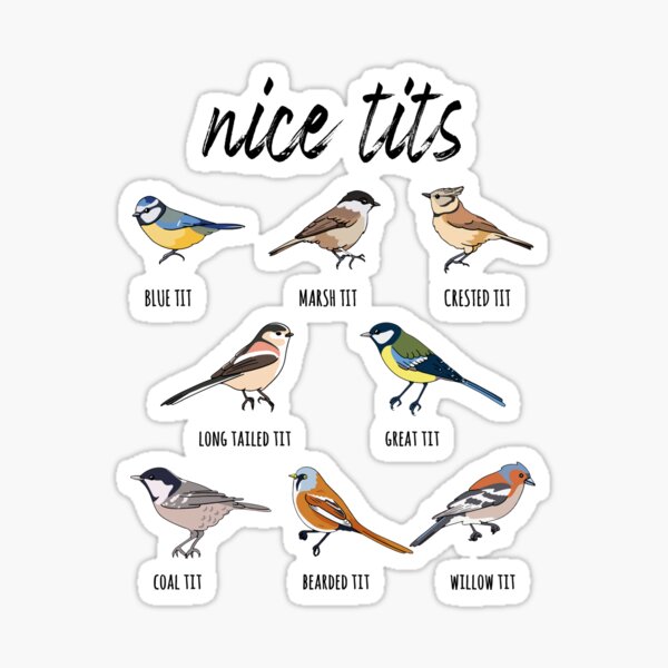 Artikel-Vorschau von Schöne Titten Lustige Vogelbeobachtung, designt und verkauft von Isabemilton.