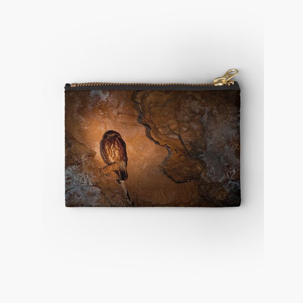 Item preview, 110619 Lesurue National Park, Stockyard Gully caves - Boobook Owl under tourch light designed and sold by Jaxybelle.
