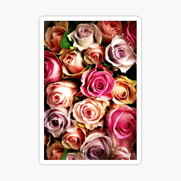 Vintage Rose Bouquet Sticker