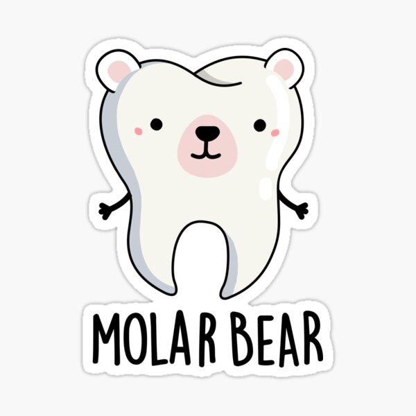 Molar Bear Funny Tooth Puns Sticker