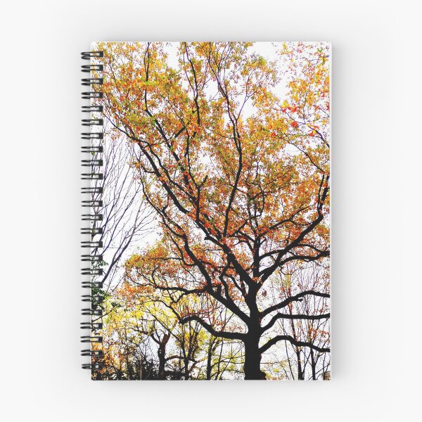 Item preview, Autumn park designed and sold by OMdesigns93.