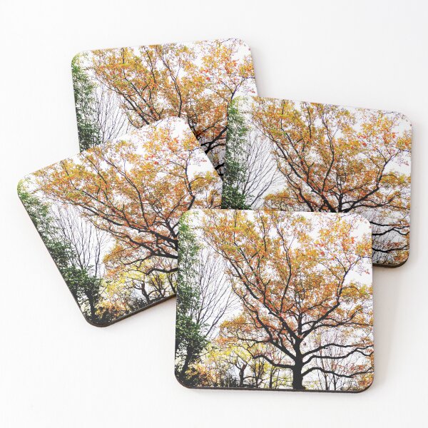 Item preview, Autumn park designed and sold by OMdesigns93.