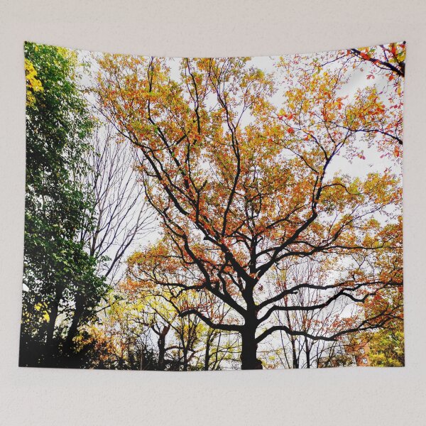 Item preview, Autumn park designed and sold by OMdesigns93.