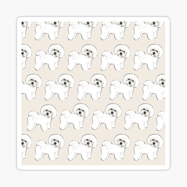Bichon Frise on Cream Glossy Sticker