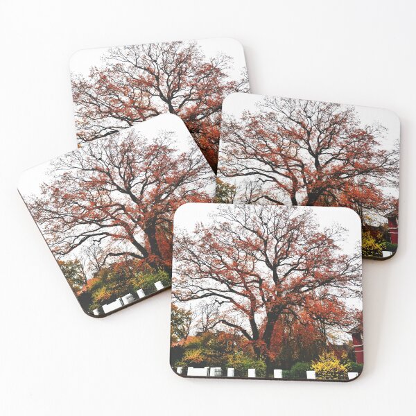 Item preview, big tree autumn designed and sold by OMdesigns93.