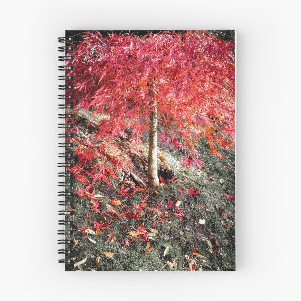 Item preview, Red Maple  designed and sold by Yellow-14.