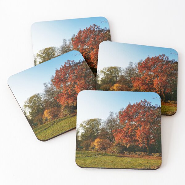 Item preview, Autumn landscape sunny designed and sold by OMdesigns93.