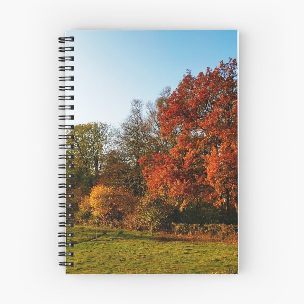 Item preview, Autumn landscape sunny designed and sold by OMdesigns93.