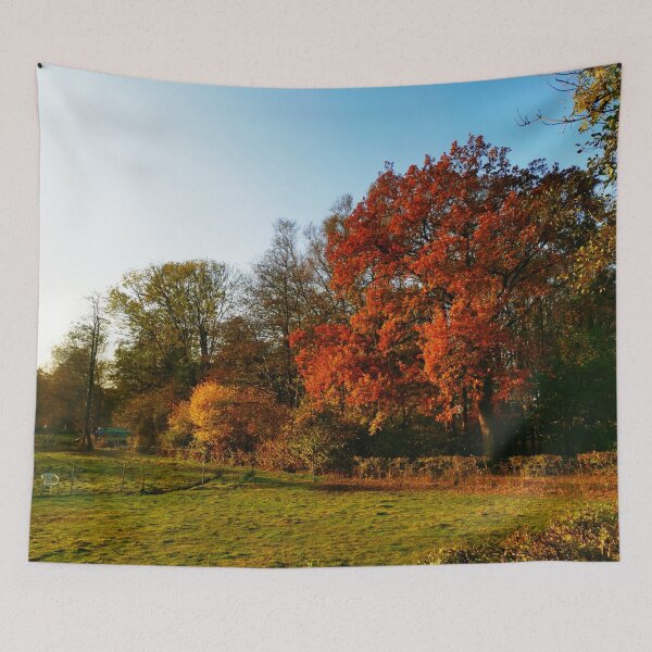 Item preview, Autumn landscape sunny designed and sold by OMdesigns93.