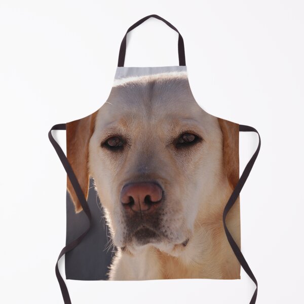 Item preview, Portrait of A Golden Labrador Dog designed and sold by taiche.