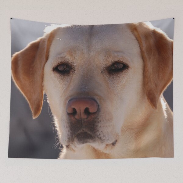 Item preview, Portrait of A Golden Labrador Dog designed and sold by taiche.
