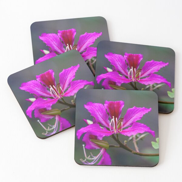 Item preview, Purple Orchid tree flowers designed and sold by Dalyndigital Photography.