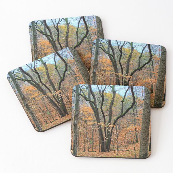 Item preview, Fall In Mann Wilderness IV designed and sold by LynyrdSky.