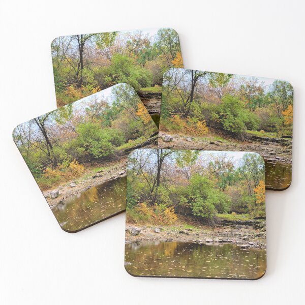 Item preview, Autumn At Briggs Woods designed and sold by LynyrdSky.