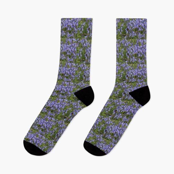 Item preview, English Bluebells designed and sold by Violaman.