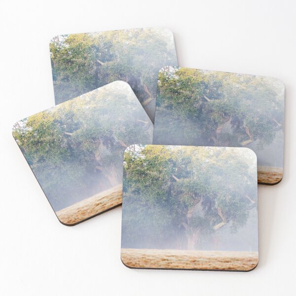 Item preview, Coastal Georgia beautiful tree and fog designed and sold by lovgeorgia.