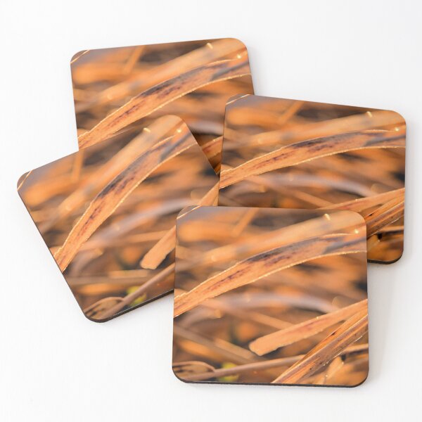 Item preview, Dried designed and sold by LynyrdSky.