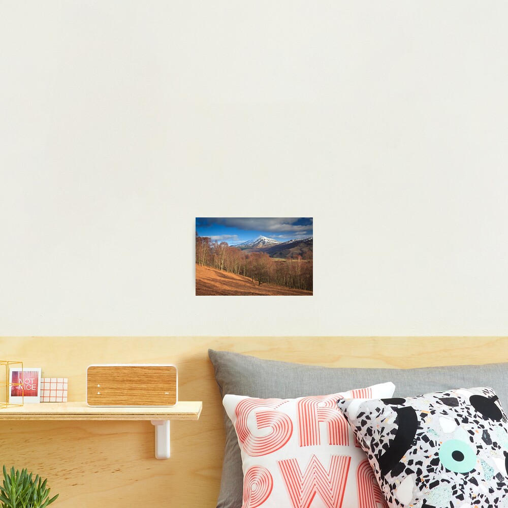Item preview, Photographic Print designed and sold by irisone.