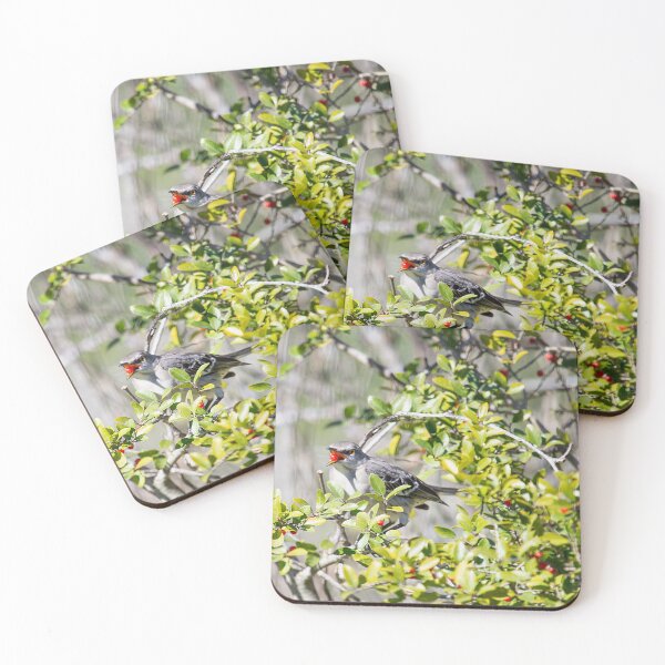 Item preview, Mockingbird enjoying berries designed and sold by lovgeorgia.